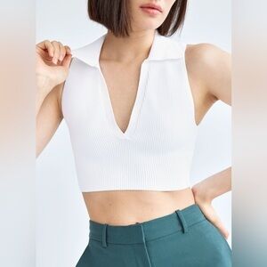 ARITZIA BABATON SCULPT KNIT POLO TOP